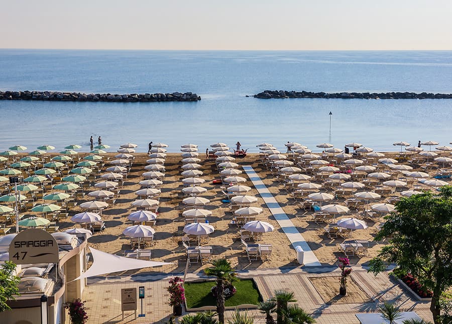 Image Column Section Image 1